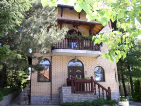 Гостиница Vila D&D, Златибор